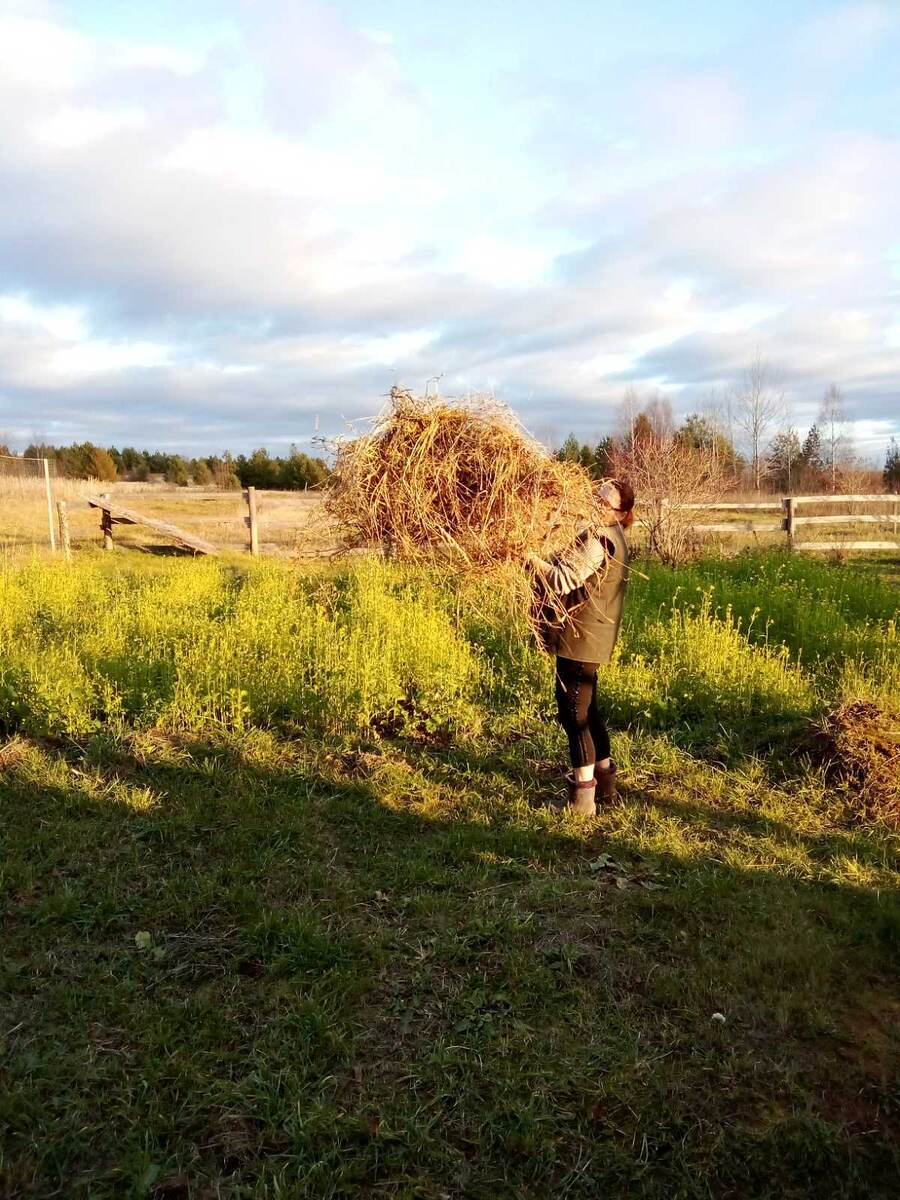 Запах у сена летний, сказочный