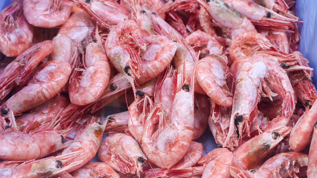    Petrov Sergey/news.ru/Globallookpress