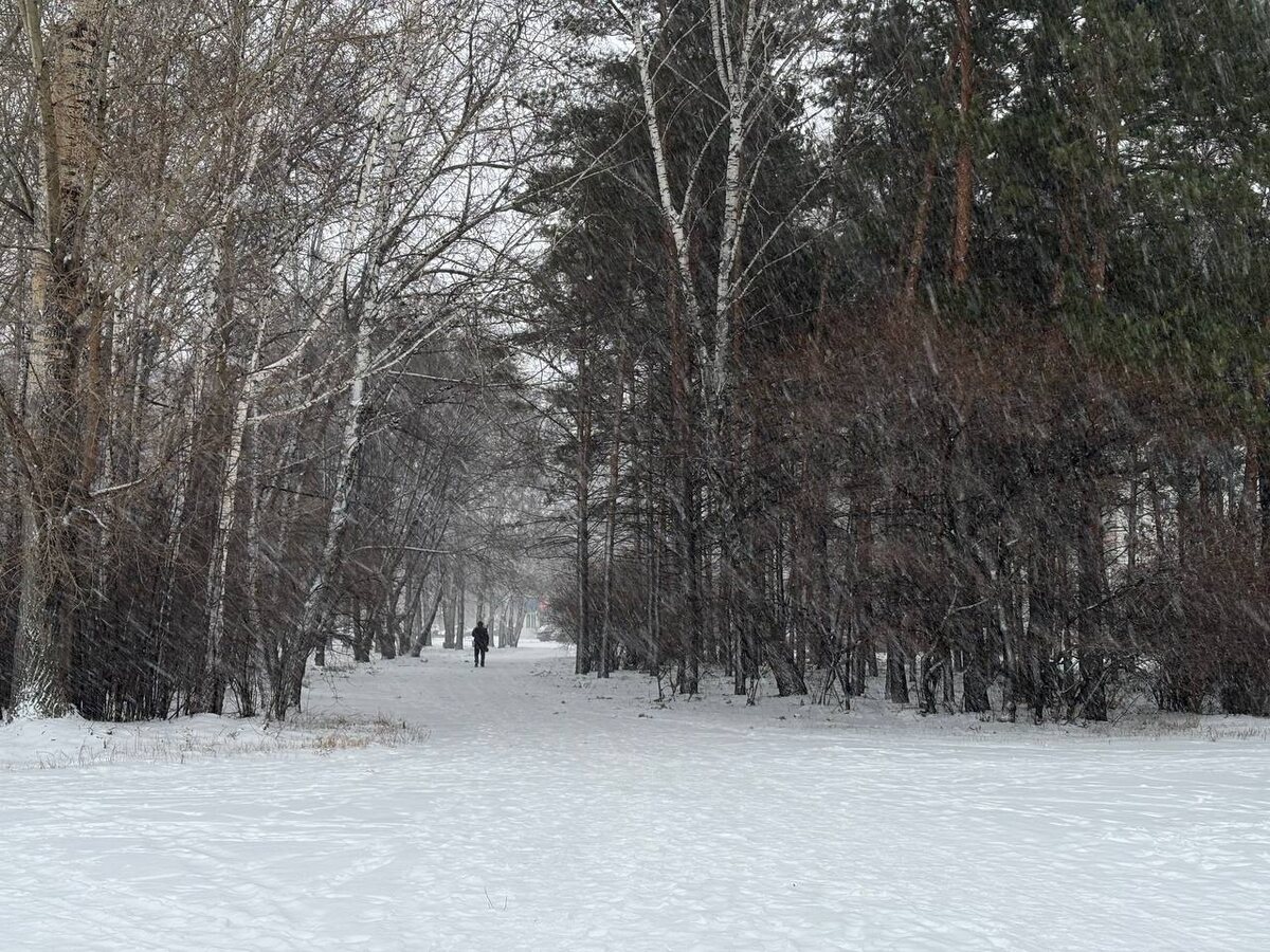 Фото: "АиФ-Новосибирск"