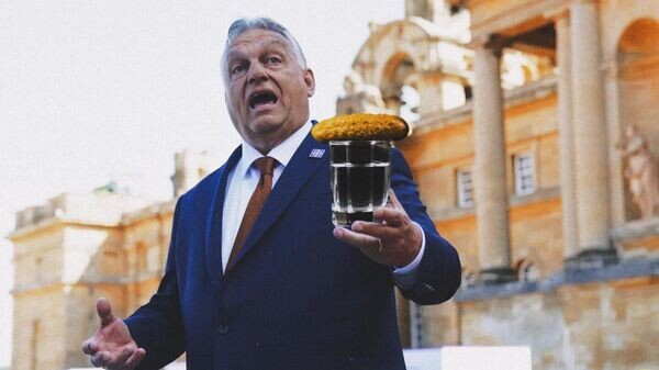    © Украина.ру