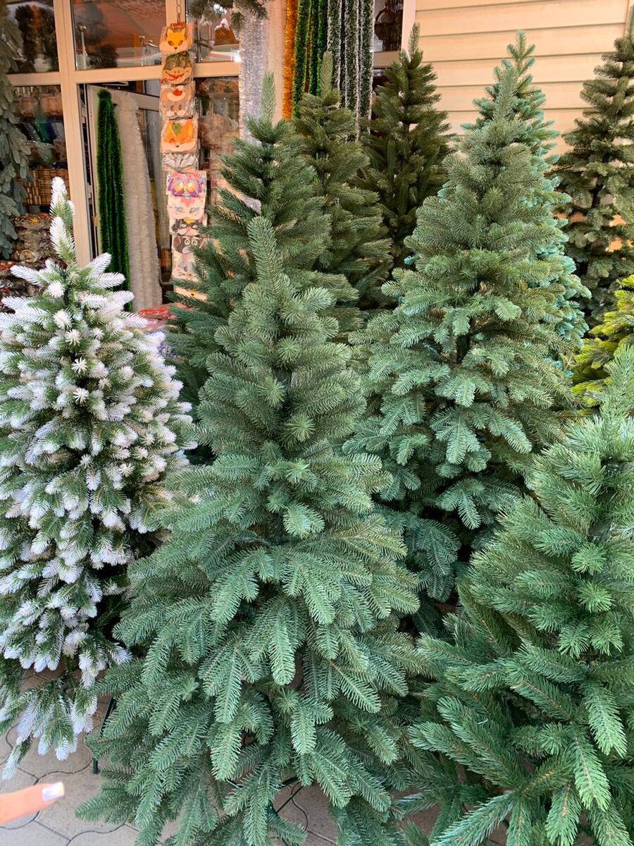 Фото: "Краснодарские известия"