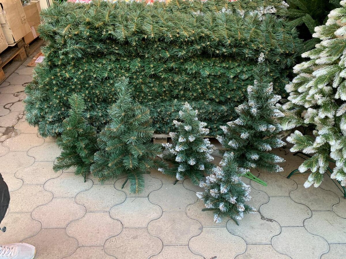 Фото: "Краснодарские известия"