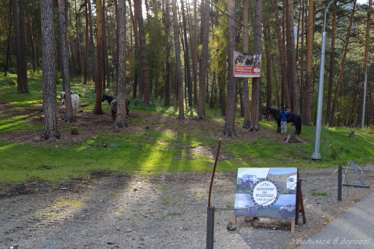 Дорога, где нас нашёл продавец экскурсий. Как видите, лошади здесь тоже есть)