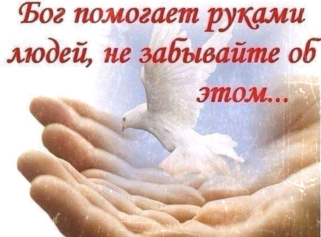 коллаж автора