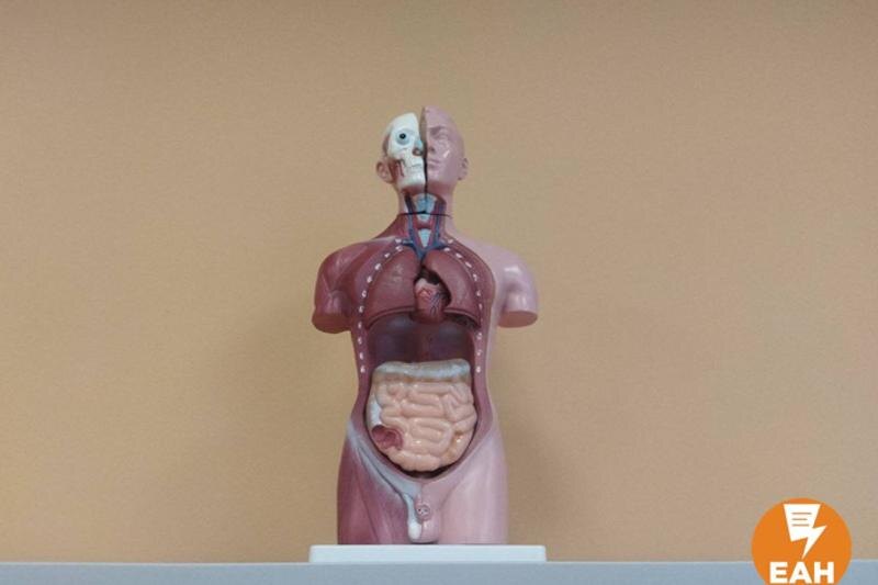    По физике, химии и биологии введут практическую часть экзамена