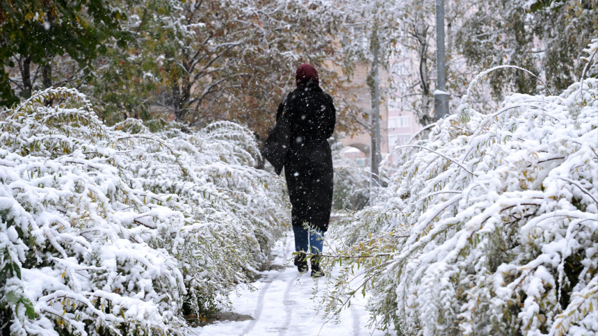    Фото: © РИА Новости/Алексей Никольский; 5-tv.ru