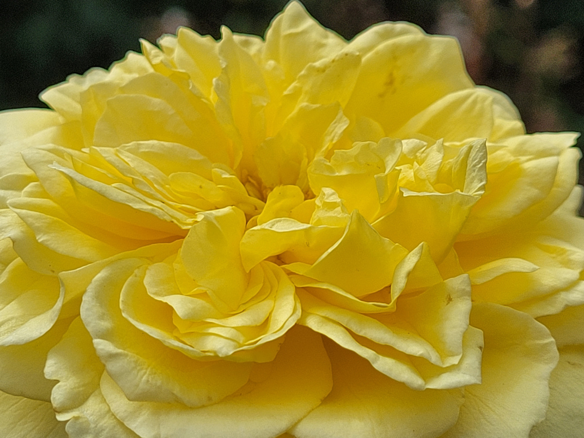 Хочется солнца) 