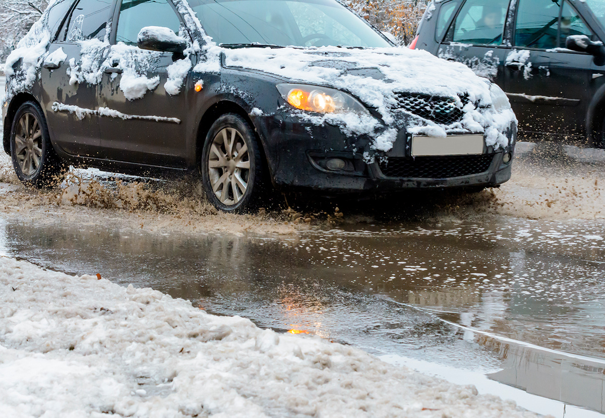Фото: shutterstock.com/Endless luck 