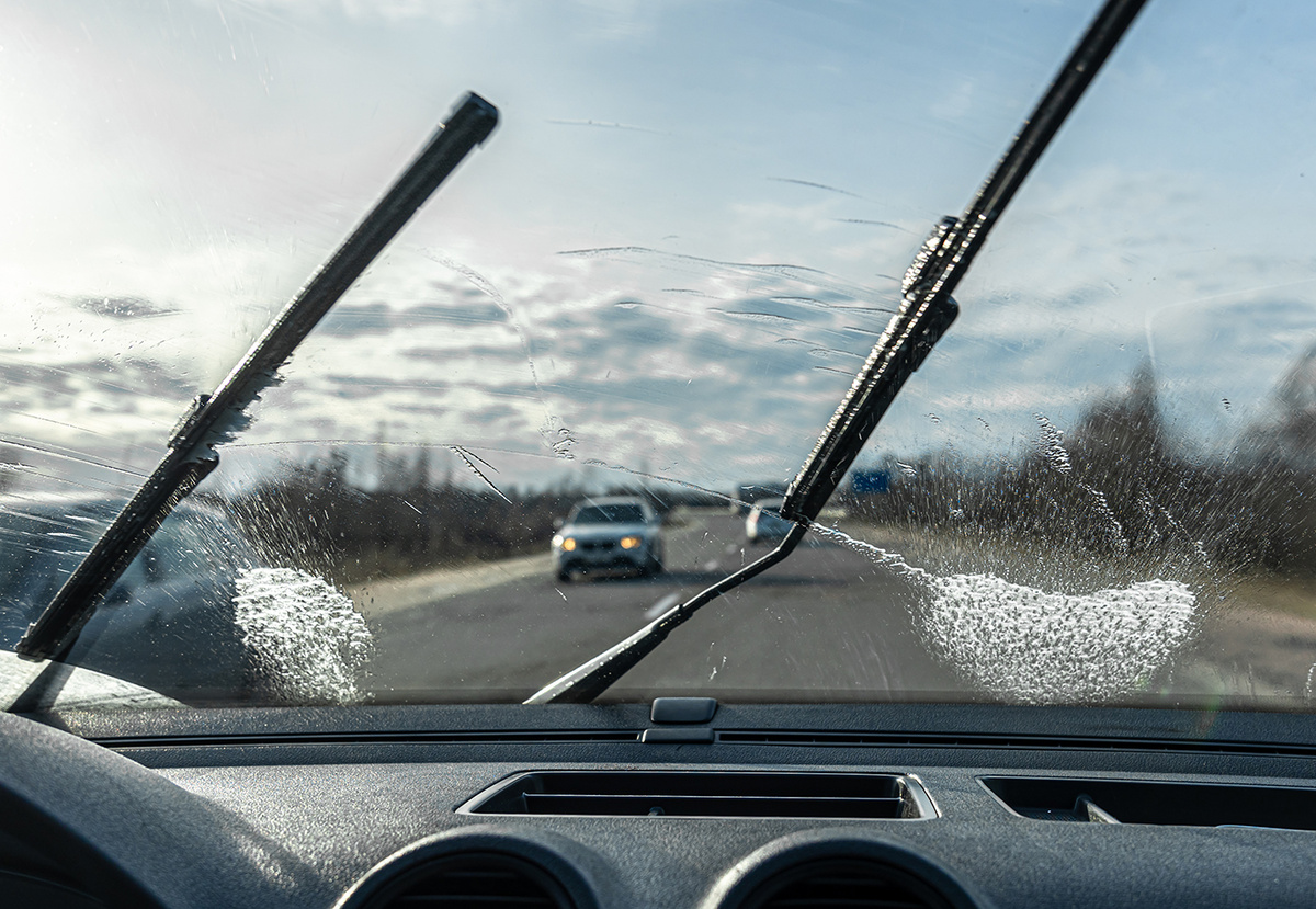 Фото: freepik.com