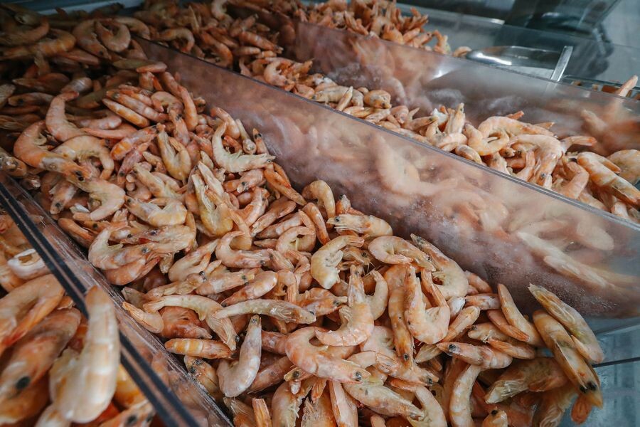     / Источник: © Андрей Любимов/RBC/TASS