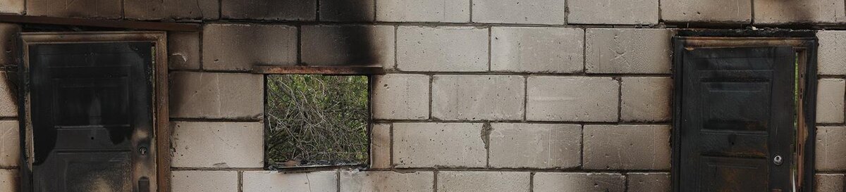    Фото: Антон Вергун