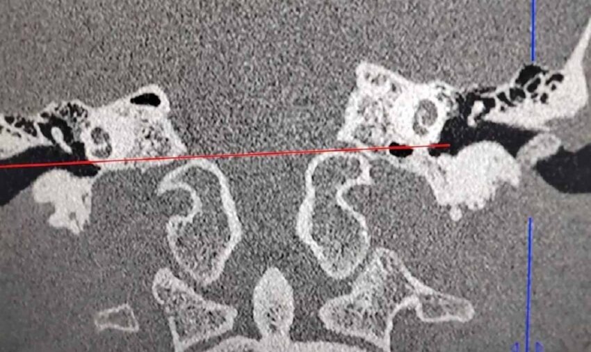    Фото: пресс-служба ВОДКБ №1.