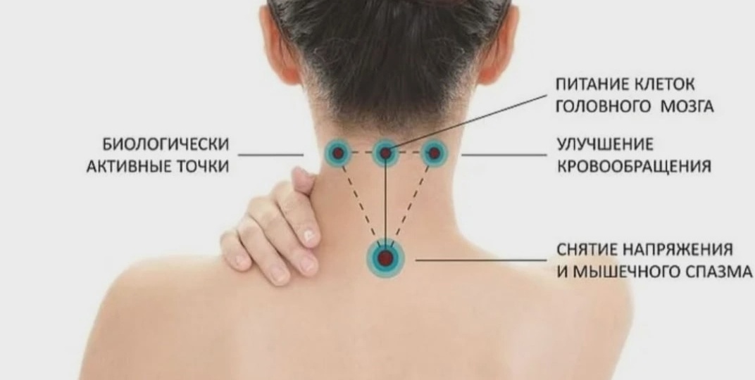 «Простой способ разбудить мозг: массаж точки долголетия для улучшения когнитивных функций».