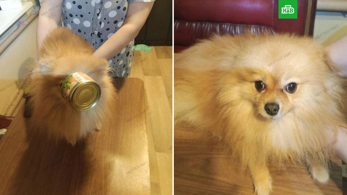    Фото: Поисково - спасательная служба КМО(16+) / vk.com