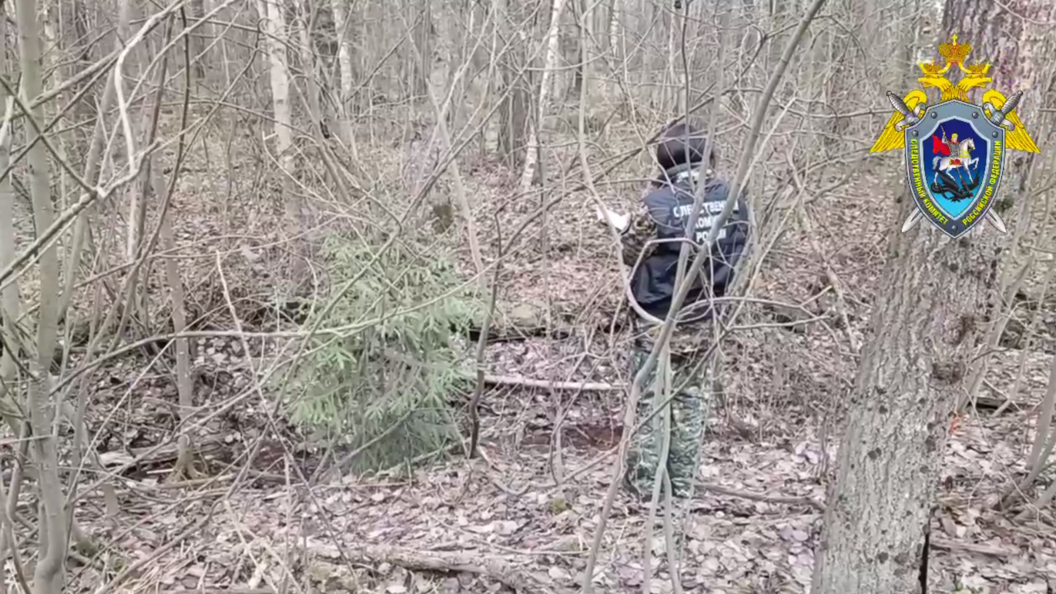    ГУ СК по Ленобласти