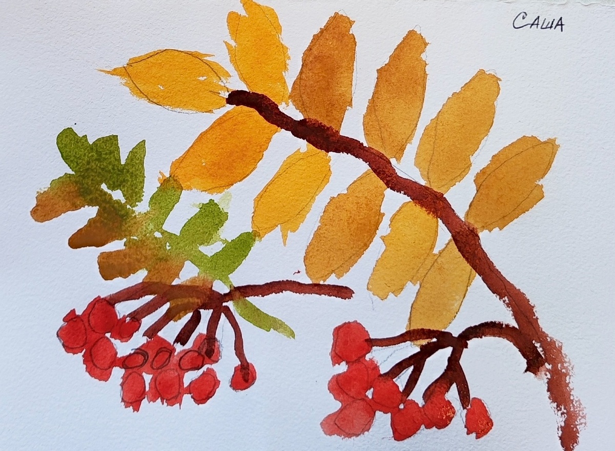 Алые ягоды рябины и ее желтые листья нарисовал Саша. Осень потихоньку прощается с нами, оставляя лишь всполохи ярких красок на детских рисунках. Обязательно поставьте ❤ юному художнику! 
#интернат #павловск #интернатспб #доминтернат #дети #интернатдети #особыедети #особенныедетки #домномер4 #детиинвалиды #пни #ребенокинвалид #детисироты #сироты #мывсеразные #любителюбых #яесть #рисуноквпонедельник