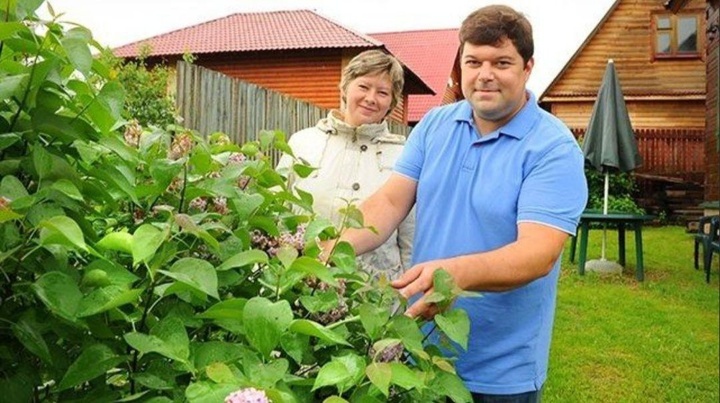 Яндекс-картинки 