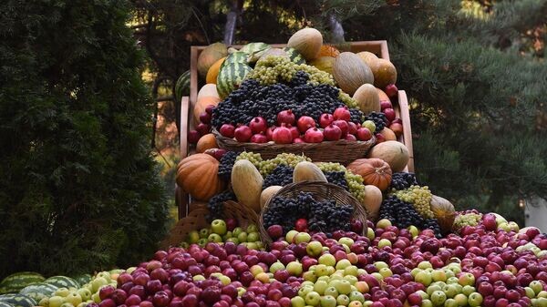    © Foto / Пресс-служба президента Таджикистана