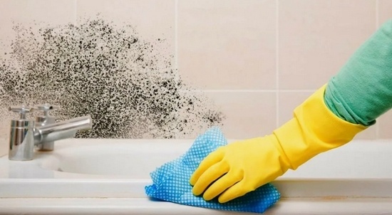 Борьба с грибком в ванной