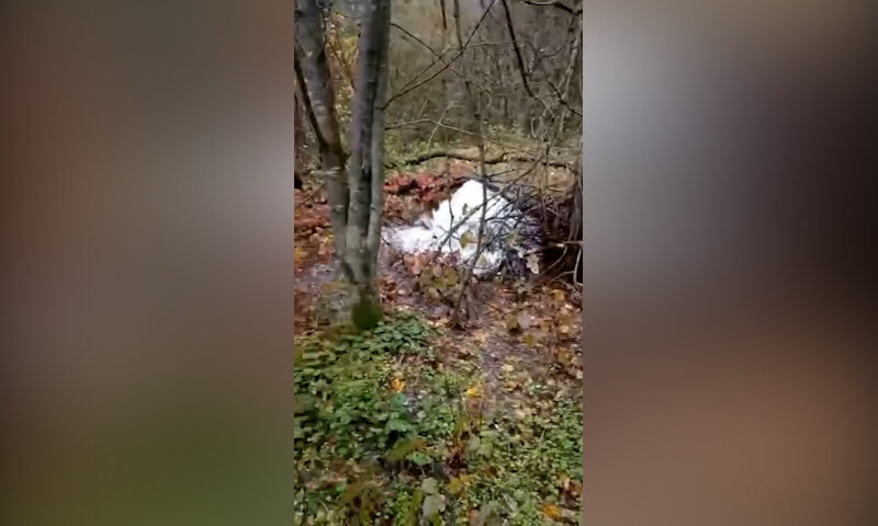    Видео: Наша Газета Новороссийск