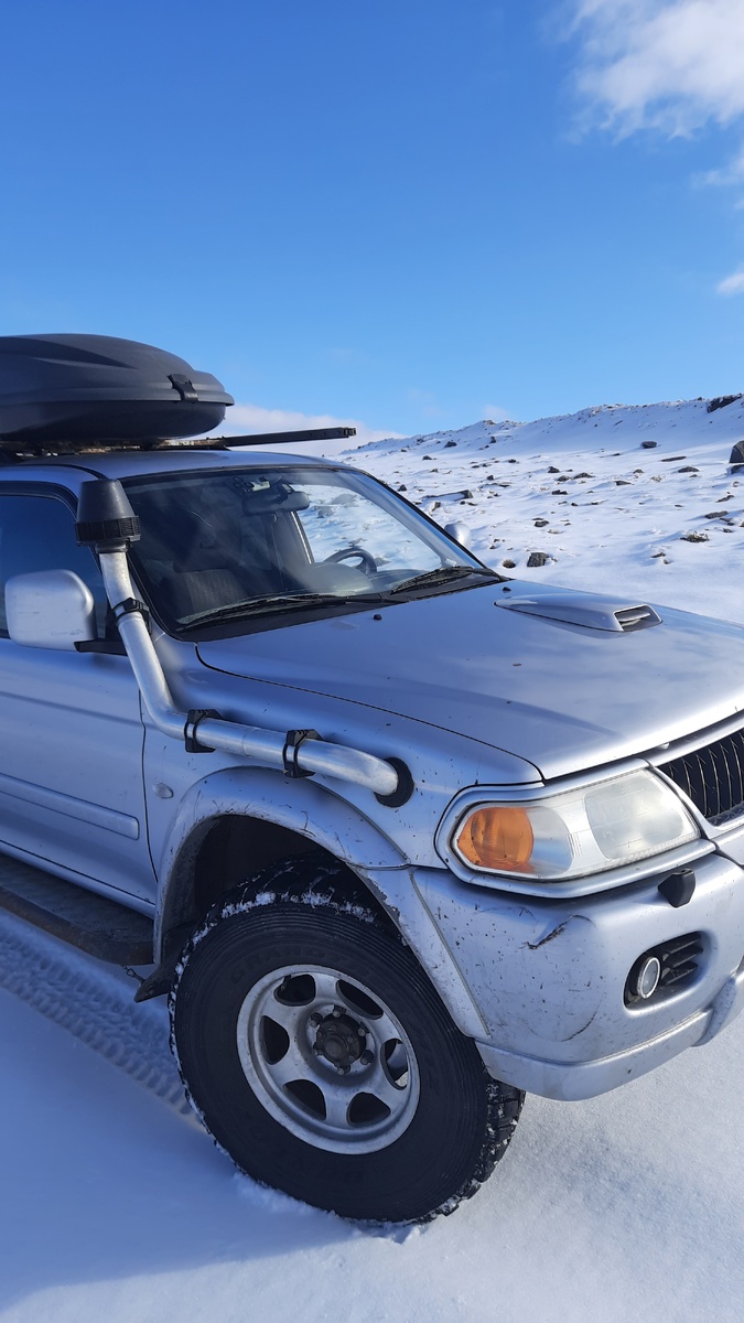 Наш красавчик снежный барс