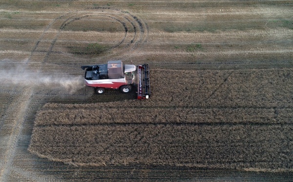 Фото: РИА Новости/Илья Наймушин