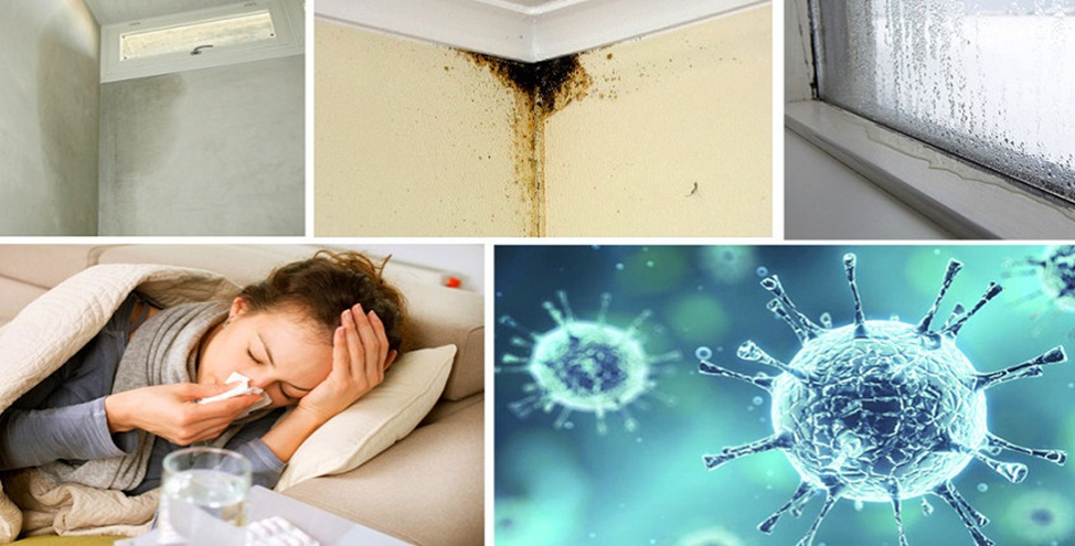 Микроклимат в доме очень важен для вашего здоровья 