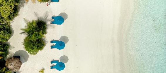 Canareef Resort Maldives 4★. Фото: coral.ru