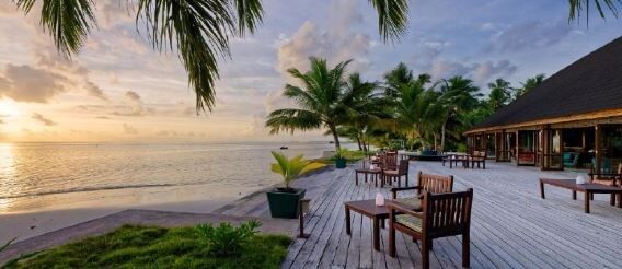 Canareef Resort Maldives 4★. Фото: coral.ru