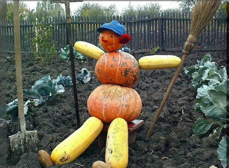 Раньше в деревне так и делали - еще капуста не убрана, а грядки перекопали...