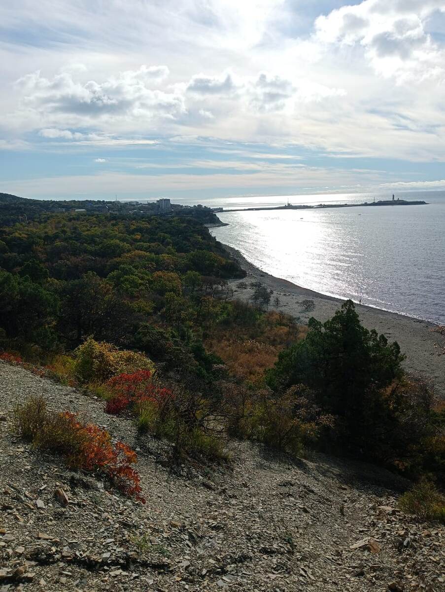 Осенние виды в ноябре, с видом на Чёрное море 