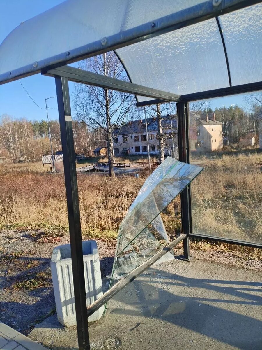     Источник: Роман Петров / vk