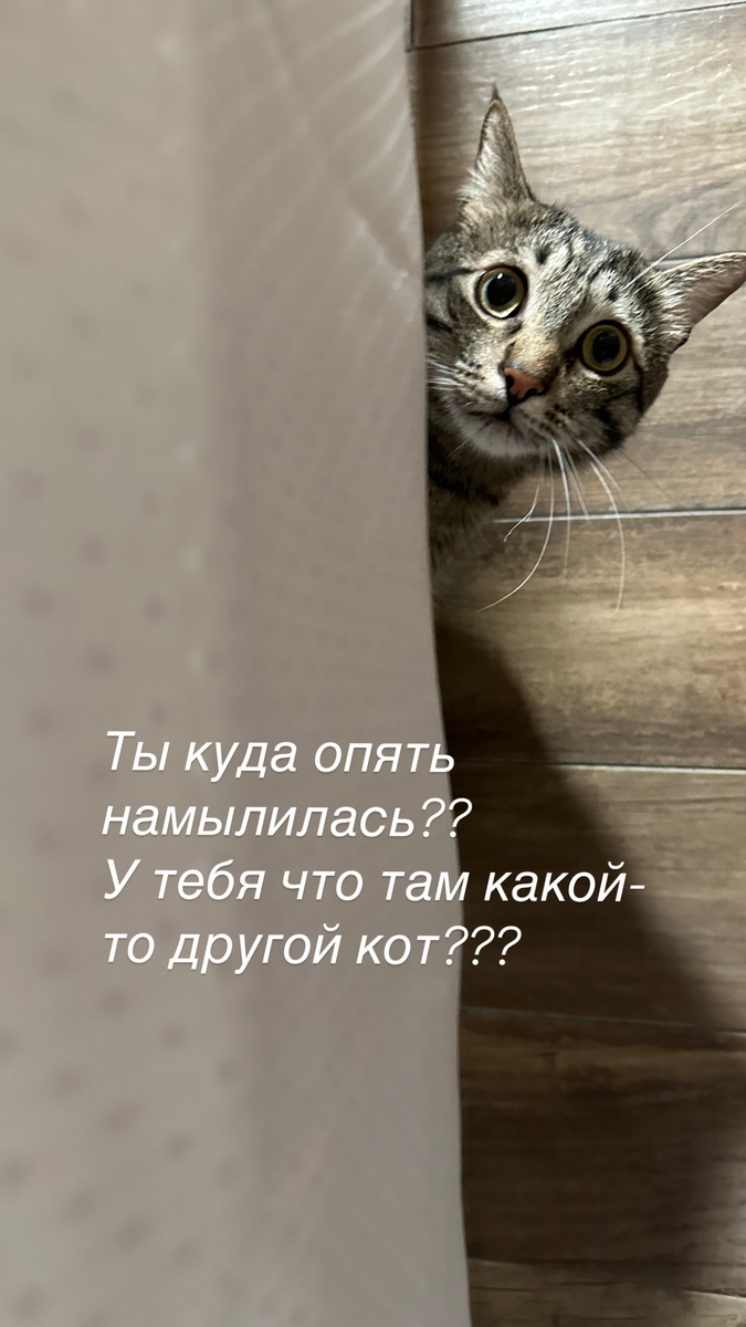 Фото моего кота в ванной и моя интерпретация) 