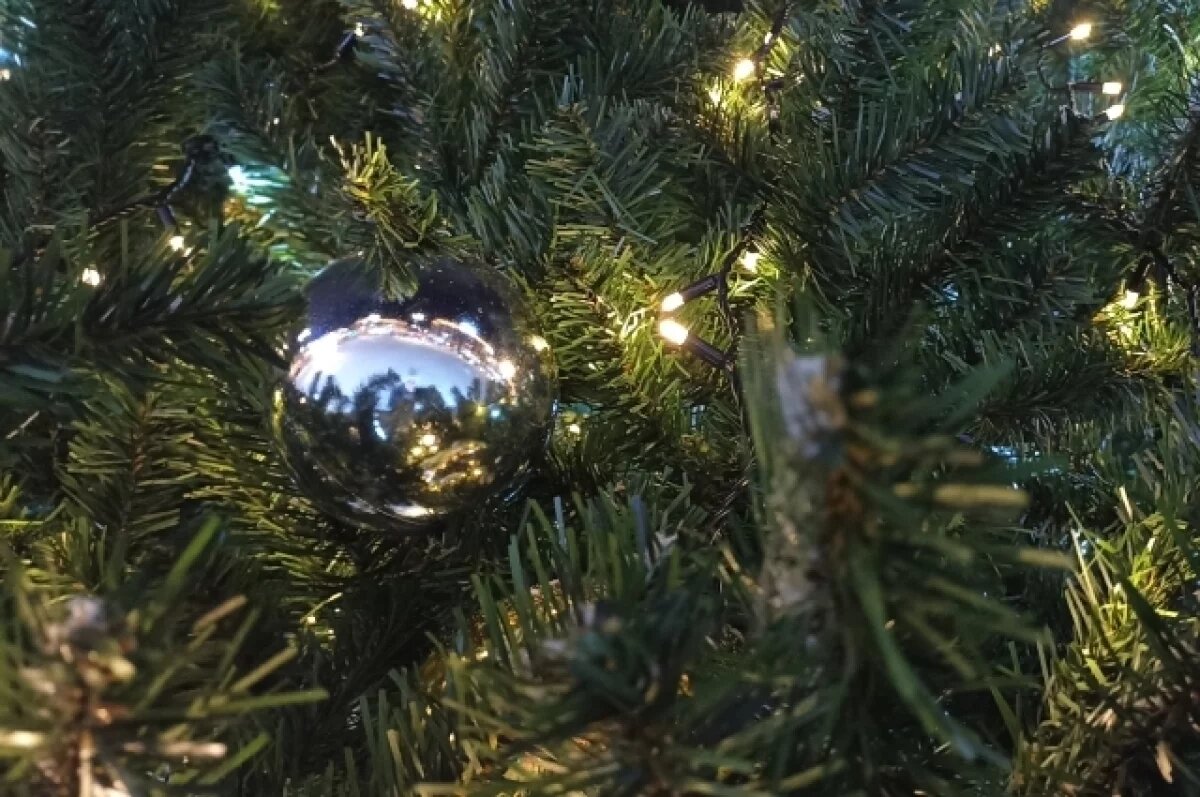    В Туристическом кластере области пояснили, что в декабре и по 7 января Киров посетят более 50 тысяч туристов из всех субъектов РФ