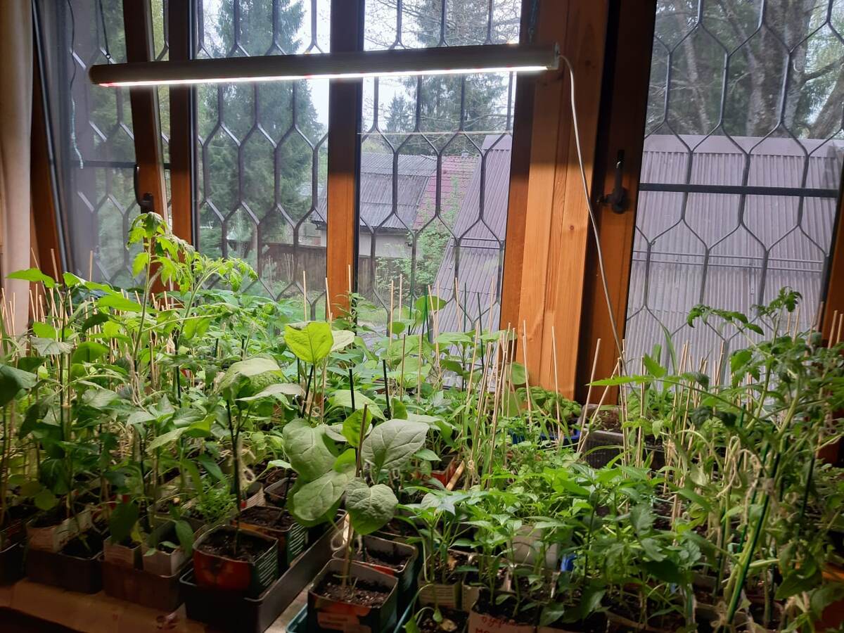 Фото автора.