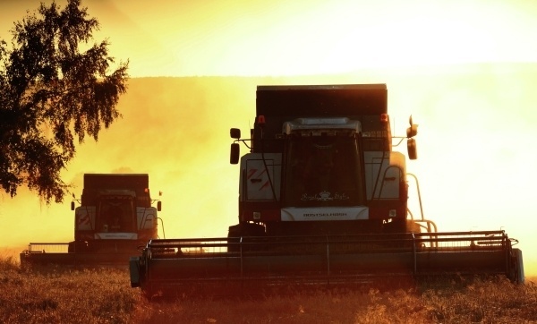 Фото: РИА Новости/Илья Наймушин