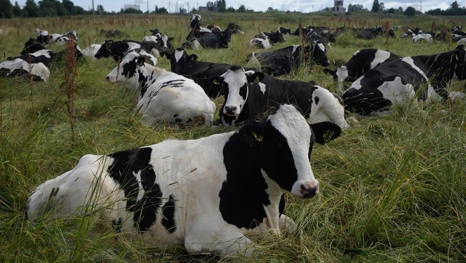    Автор фото: Вдовин Сергей