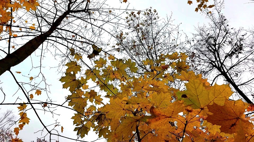 фото канала "Неизвестная"