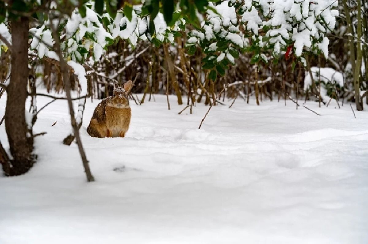    В Татарстане температура будет держаться в районе 0 градусов