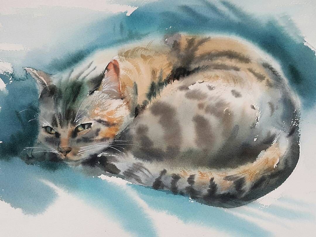 Рисунок из открытых источников