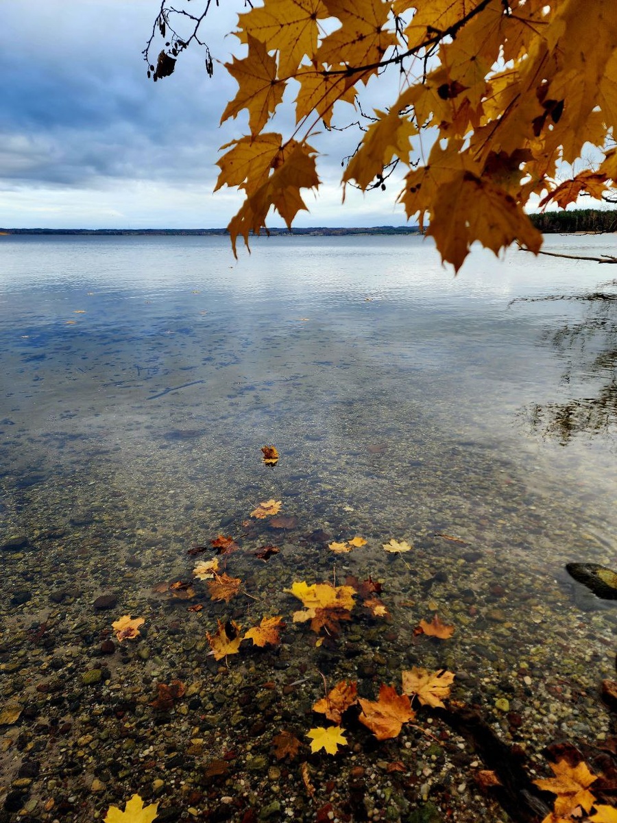 Озеро Виштынец в октябре
