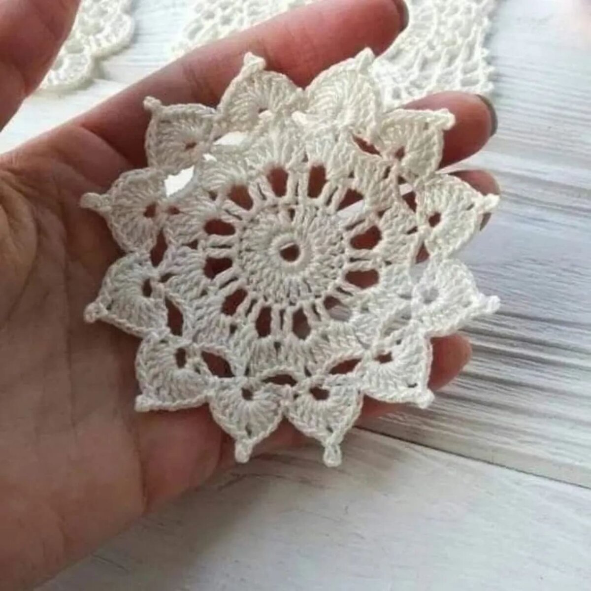 фото из интернета