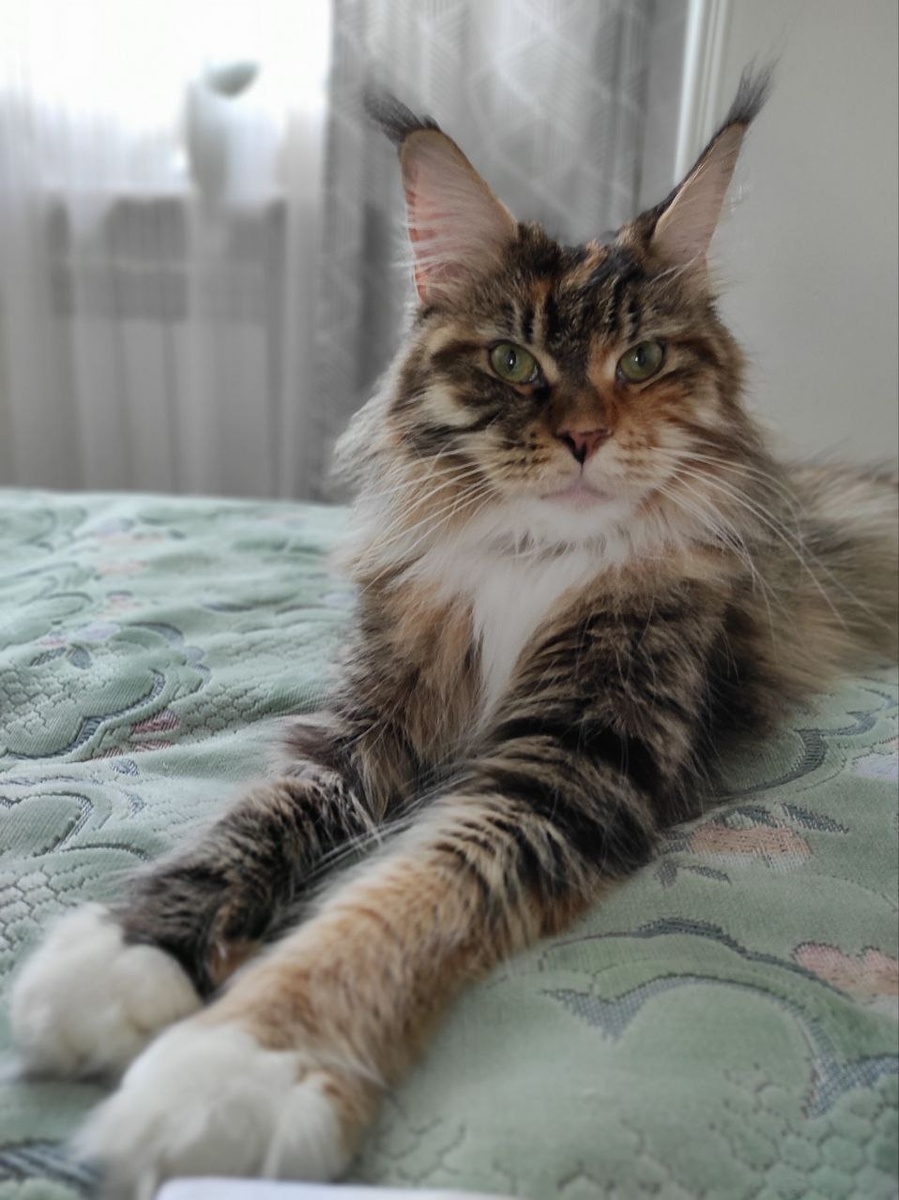 Моя красавица.