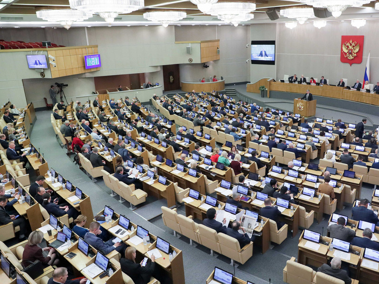 Фото: duma.gov.ru