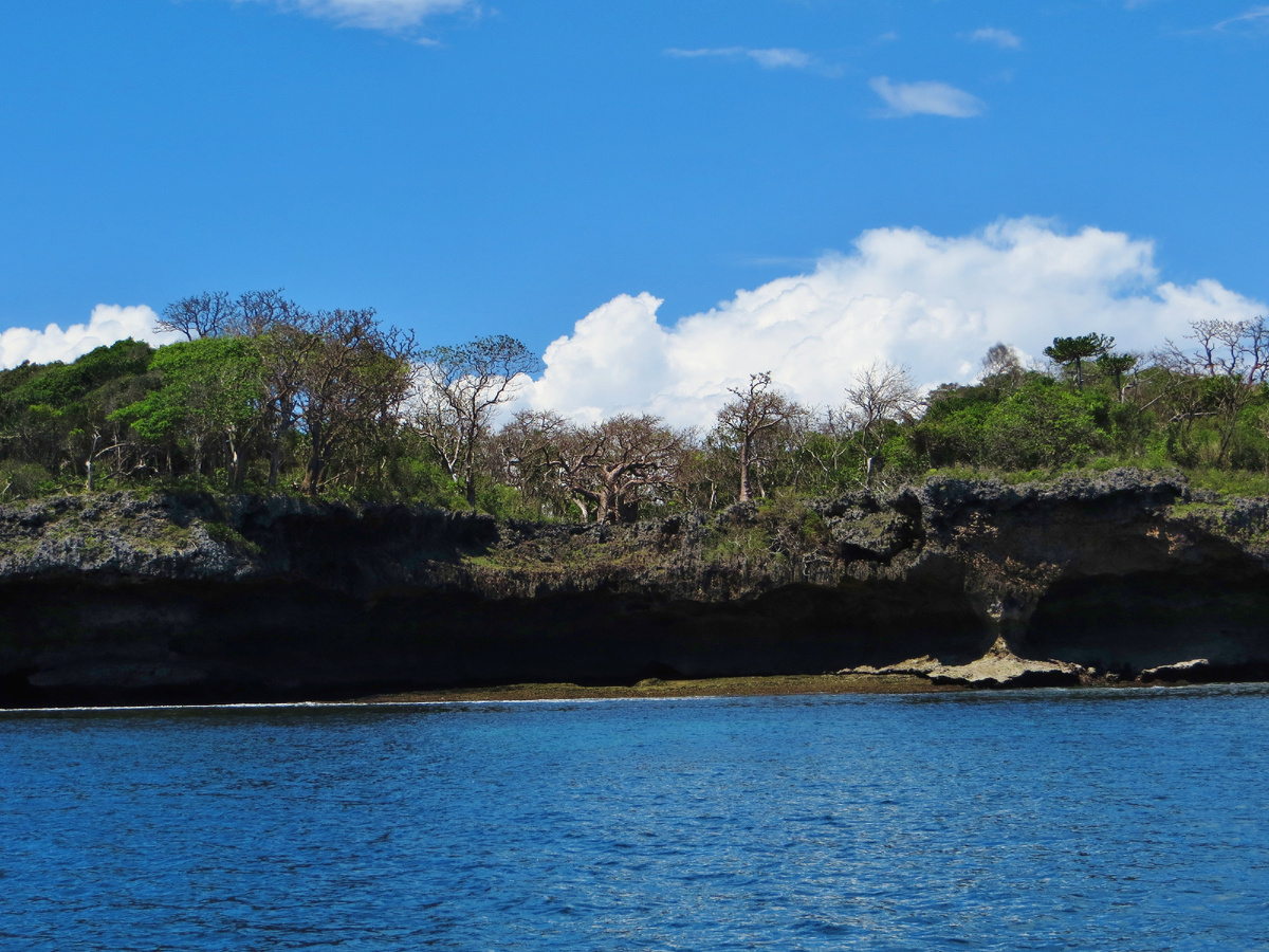 Остров Васини. Источник: https://translated.turbopages.org/proxy_u/en-ru.ru.e8354cb0-6732133c-2d47c2f2-74722d776562/https/en.wikipedia.org/wiki/File:Wasini_coast.JPG