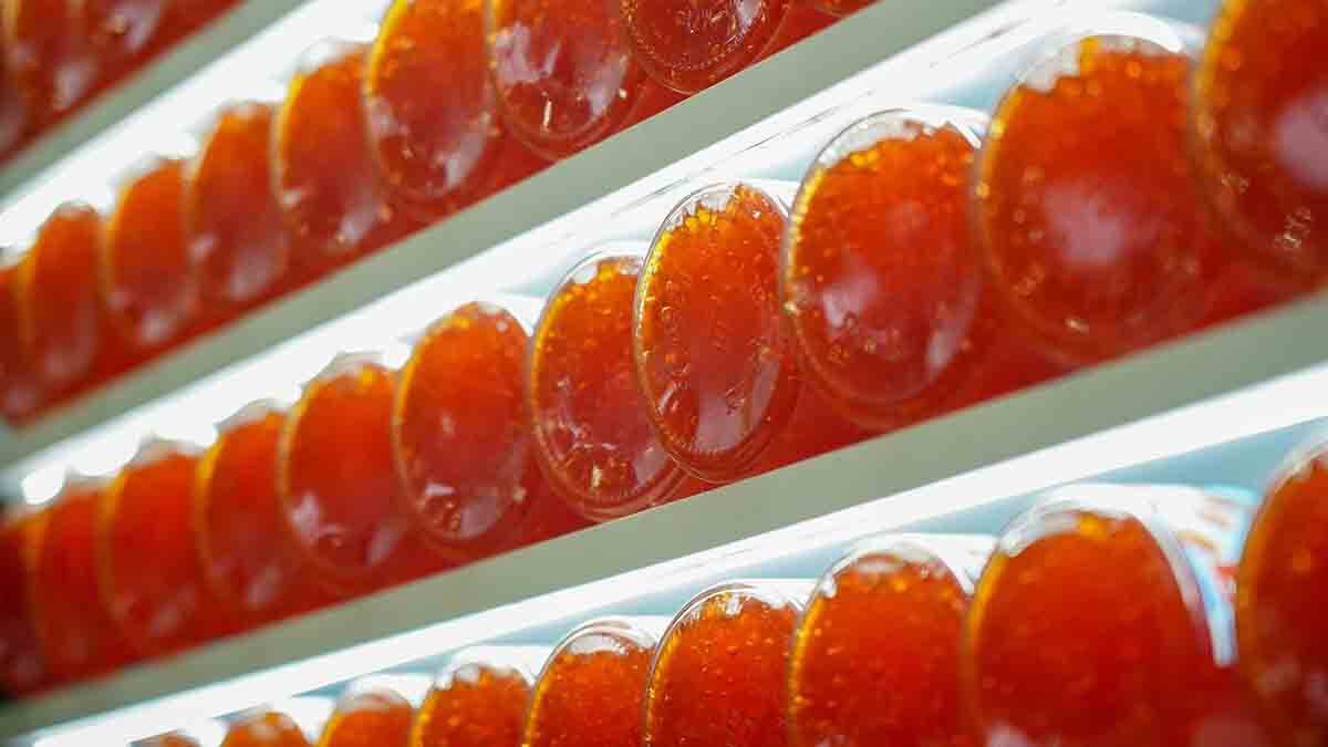    Фото: Александр Авилов / АГН Москва