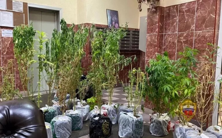    Фото: оперативная съемка МВД Екатерина Шахнина