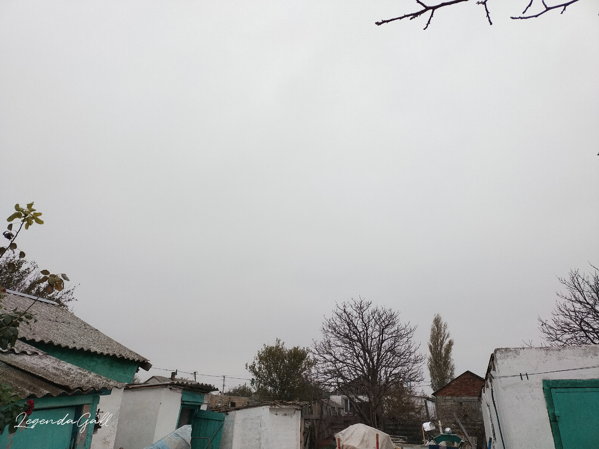 Наше утро. Таким же был и день, и вечер.... Стабильность....