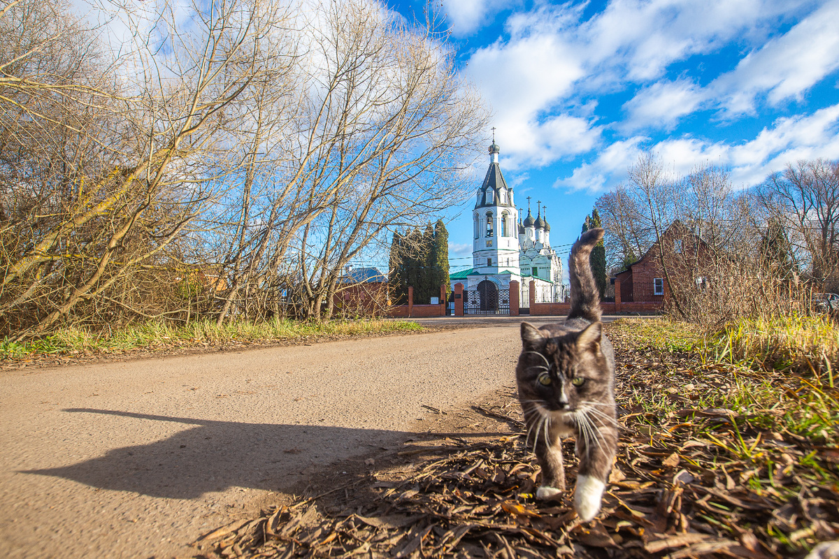 Знаменский храм. Село Кузьминское, городской округ Домодедово, Московская область. Фото автора статьи 