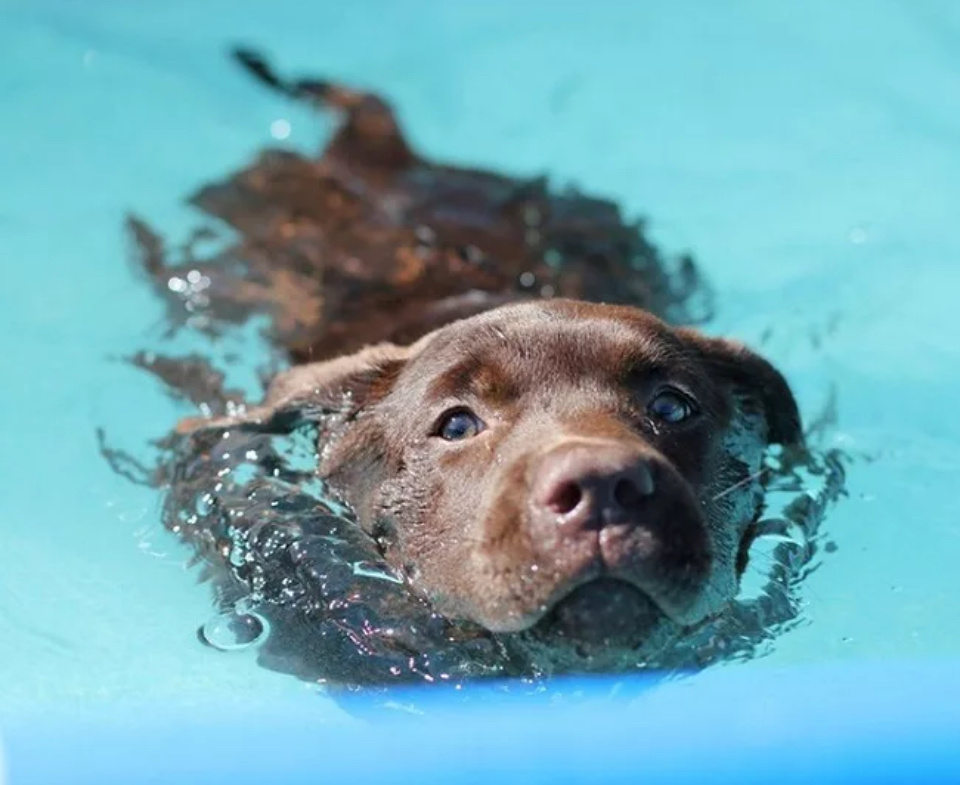 Яндекс.картинки для обложки